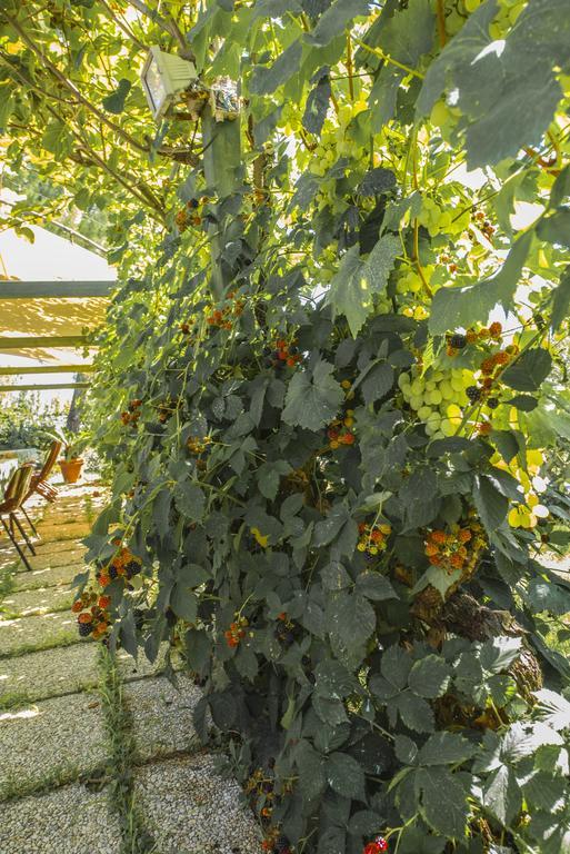 Villa Miranda Ortona Dış mekan fotoğraf